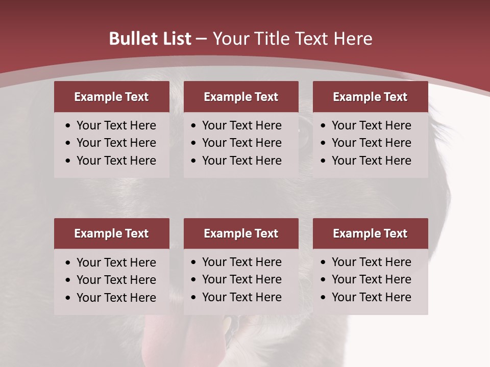 Cute Old Dog On White Background Looking Happy PowerPoint Template