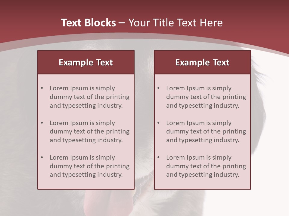 Cute Old Dog On White Background Looking Happy PowerPoint Template