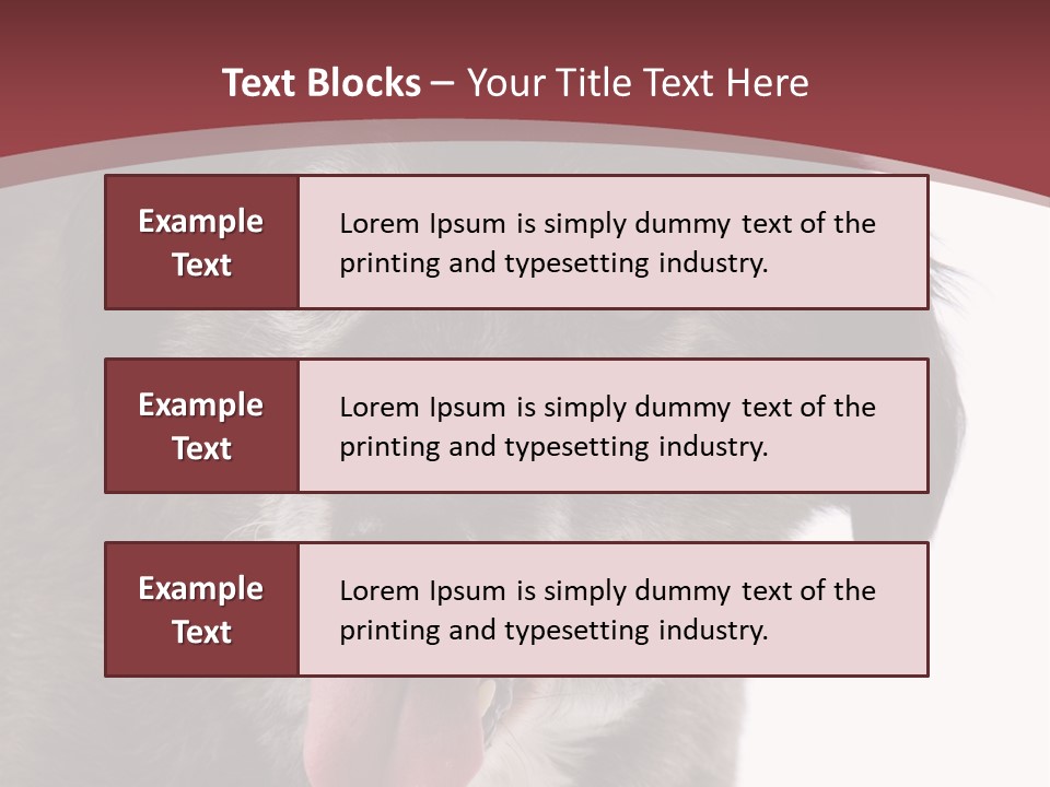 Cute Old Dog On White Background Looking Happy PowerPoint Template