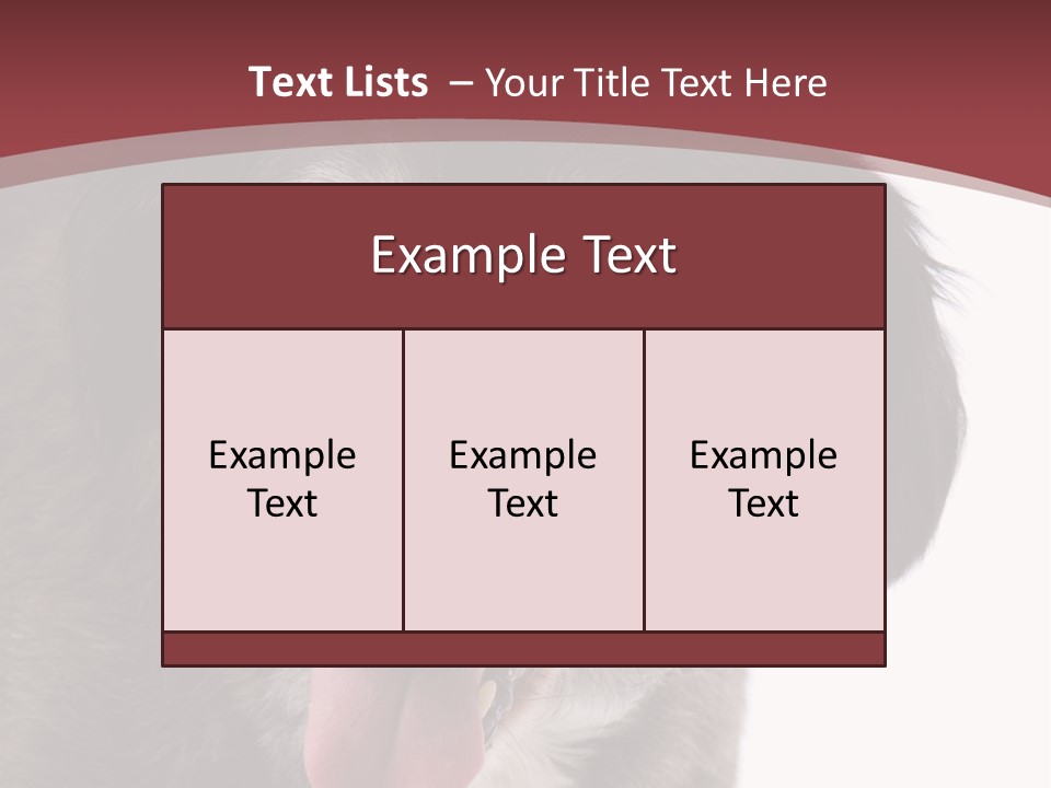 Cute Old Dog On White Background Looking Happy PowerPoint Template