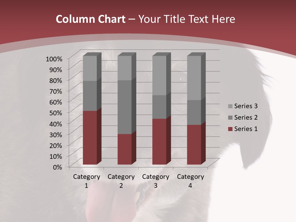 Cute Old Dog On White Background Looking Happy PowerPoint Template