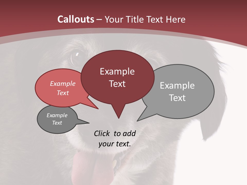 Cute Old Dog On White Background Looking Happy PowerPoint Template