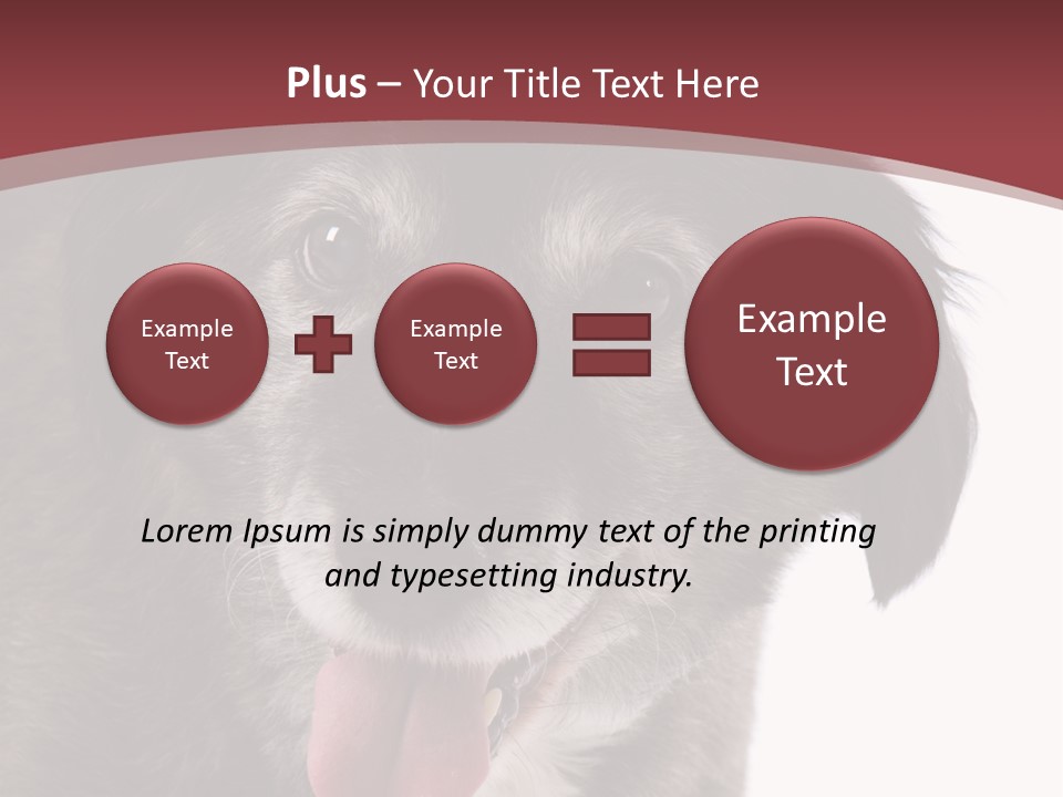 Cute Old Dog On White Background Looking Happy PowerPoint Template