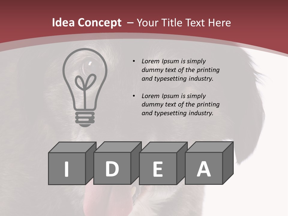 Cute Old Dog On White Background Looking Happy PowerPoint Template