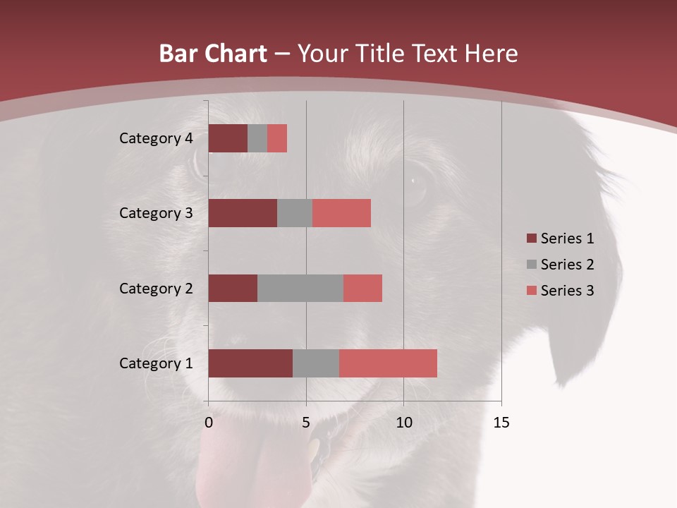 Cute Old Dog On White Background Looking Happy PowerPoint Template