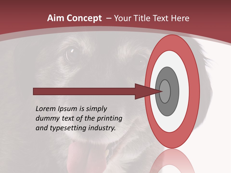 Cute Old Dog On White Background Looking Happy PowerPoint Template