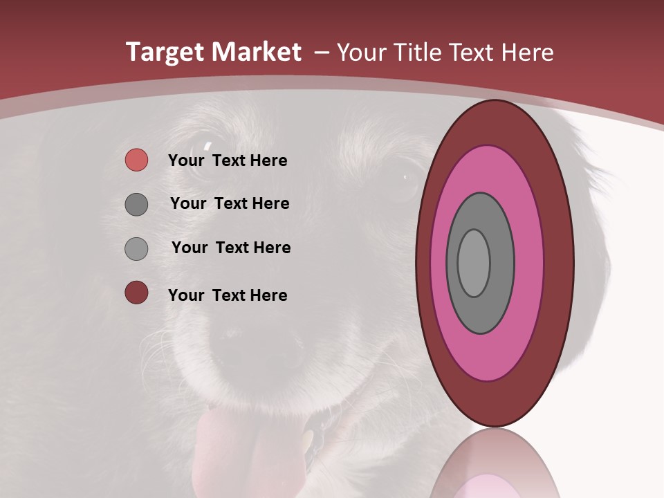 Cute Old Dog On White Background Looking Happy PowerPoint Template