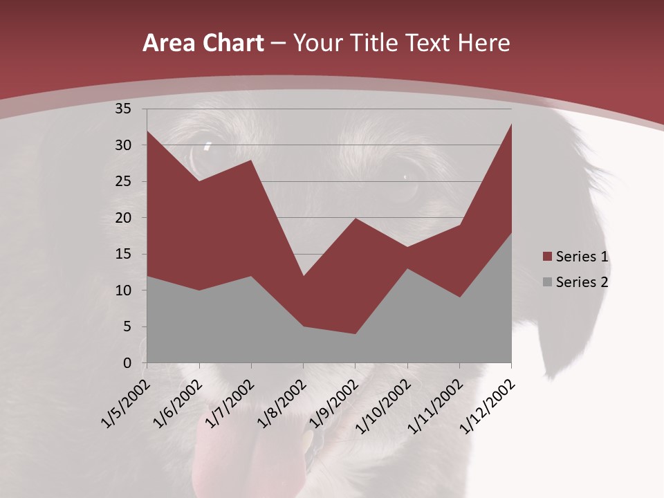 Cute Old Dog On White Background Looking Happy PowerPoint Template