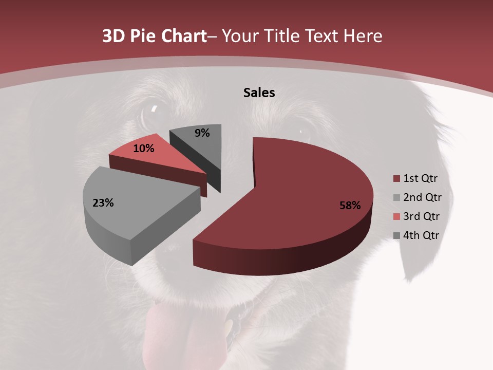 Cute Old Dog On White Background Looking Happy PowerPoint Template