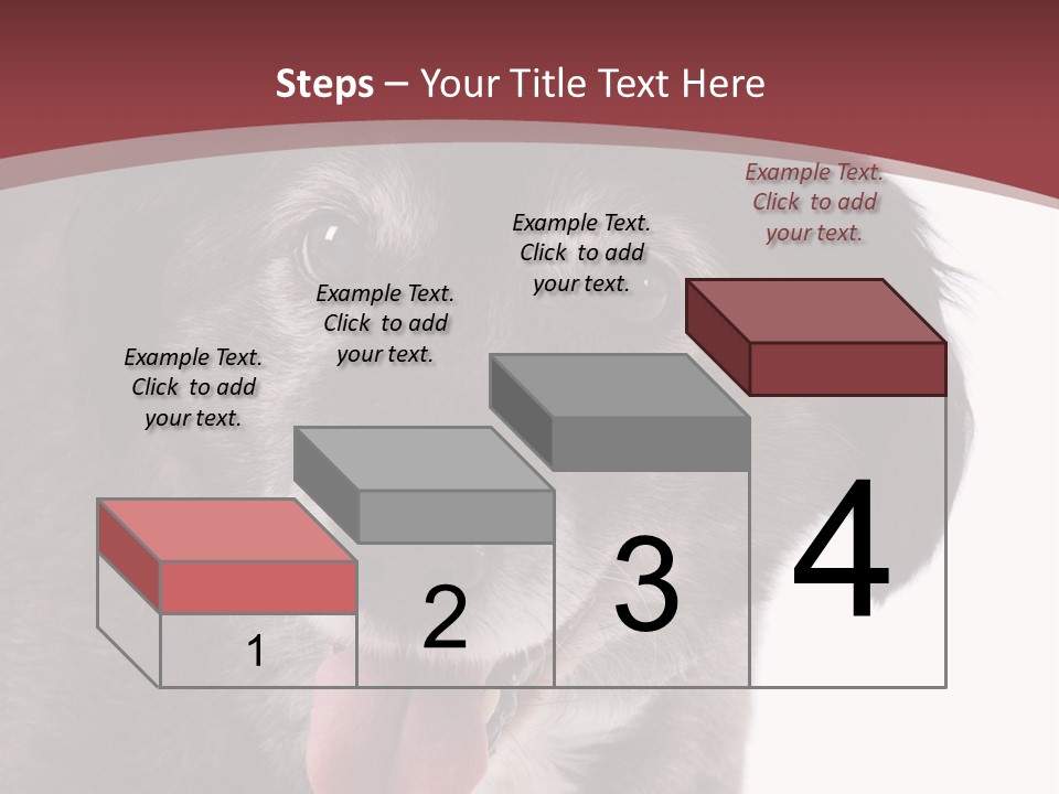 Cute Old Dog On White Background Looking Happy PowerPoint Template