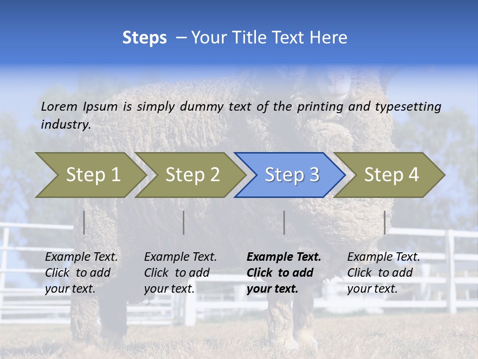 Australian Merino Sheep PowerPoint Template