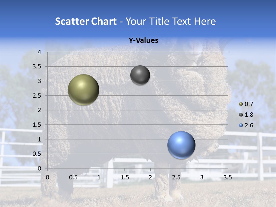 Australian Merino Sheep PowerPoint Template