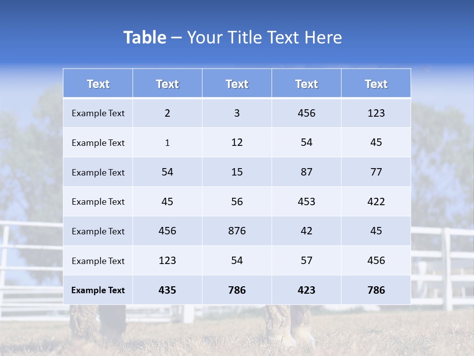 Australian Merino Sheep PowerPoint Template