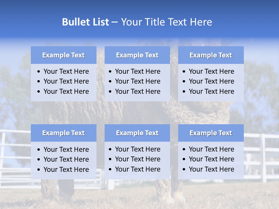 Australian Merino Sheep PowerPoint Template