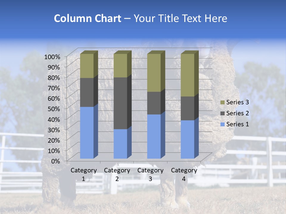 Australian Merino Sheep PowerPoint Template