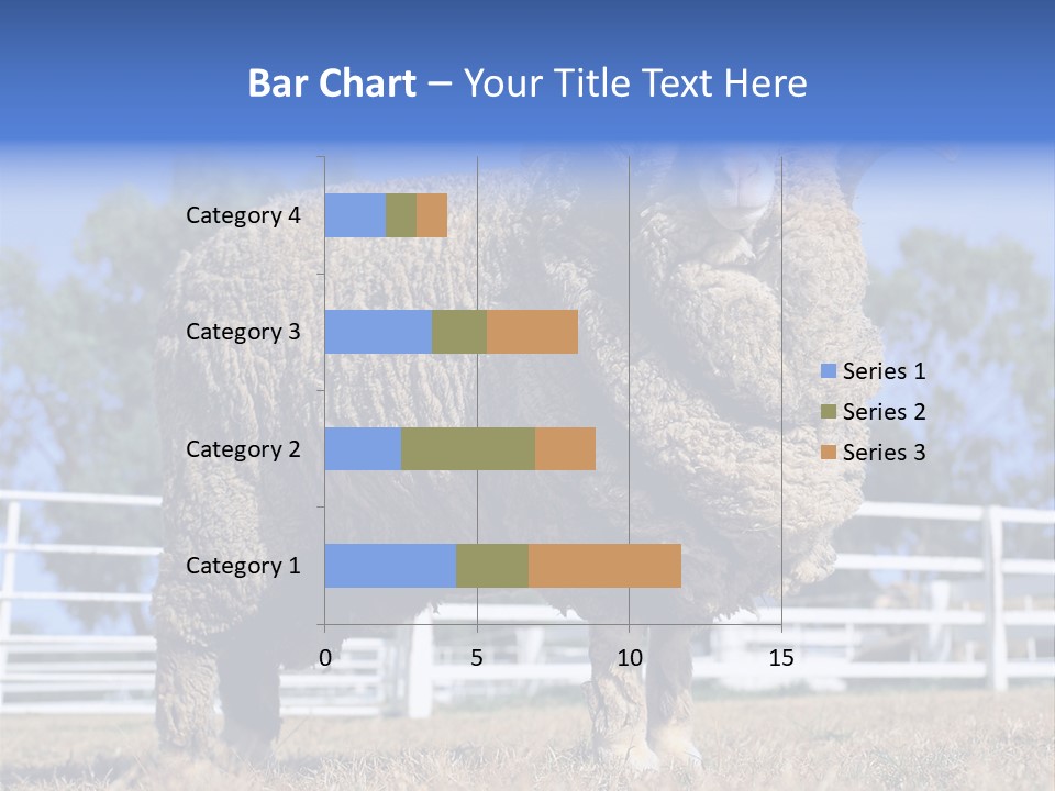 Australian Merino Sheep PowerPoint Template