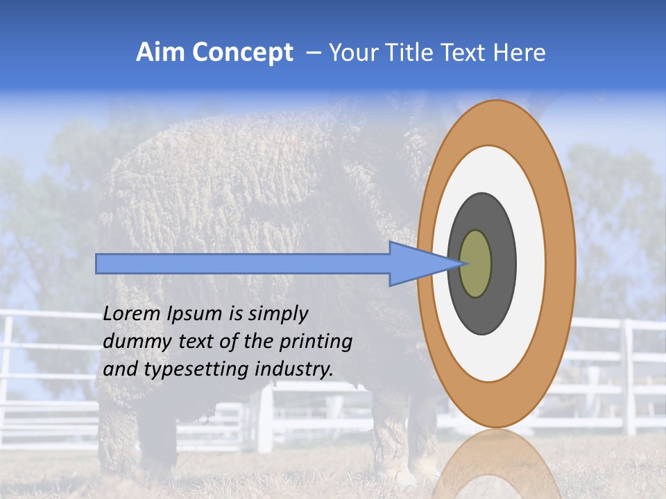 Australian Merino Sheep PowerPoint Template