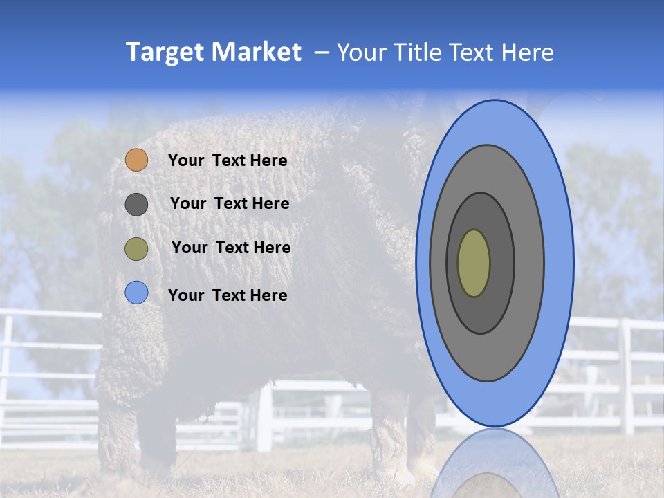 Australian Merino Sheep PowerPoint Template