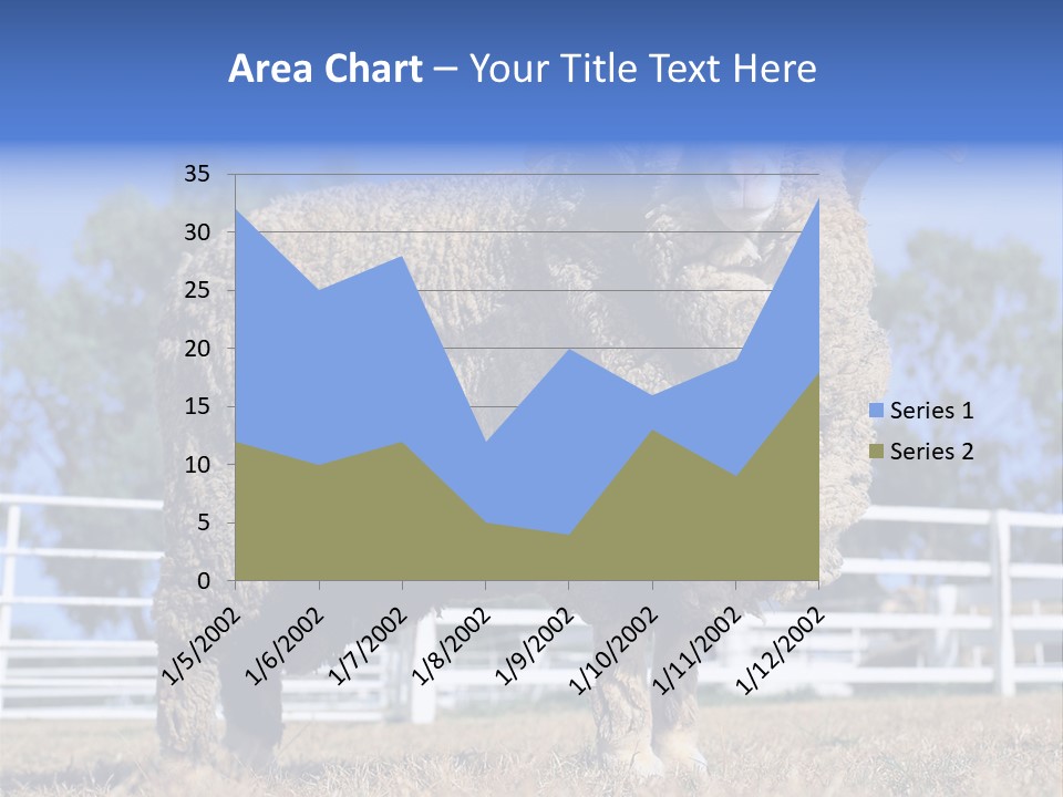 Australian Merino Sheep PowerPoint Template