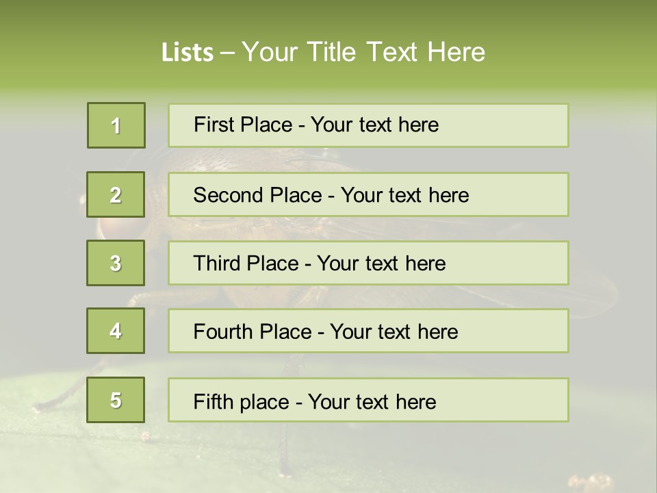 Fruit Fly Moving It Leg PowerPoint Template