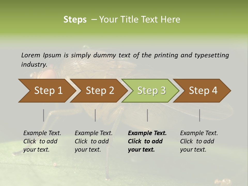 Fruit Fly Moving It Leg PowerPoint Template