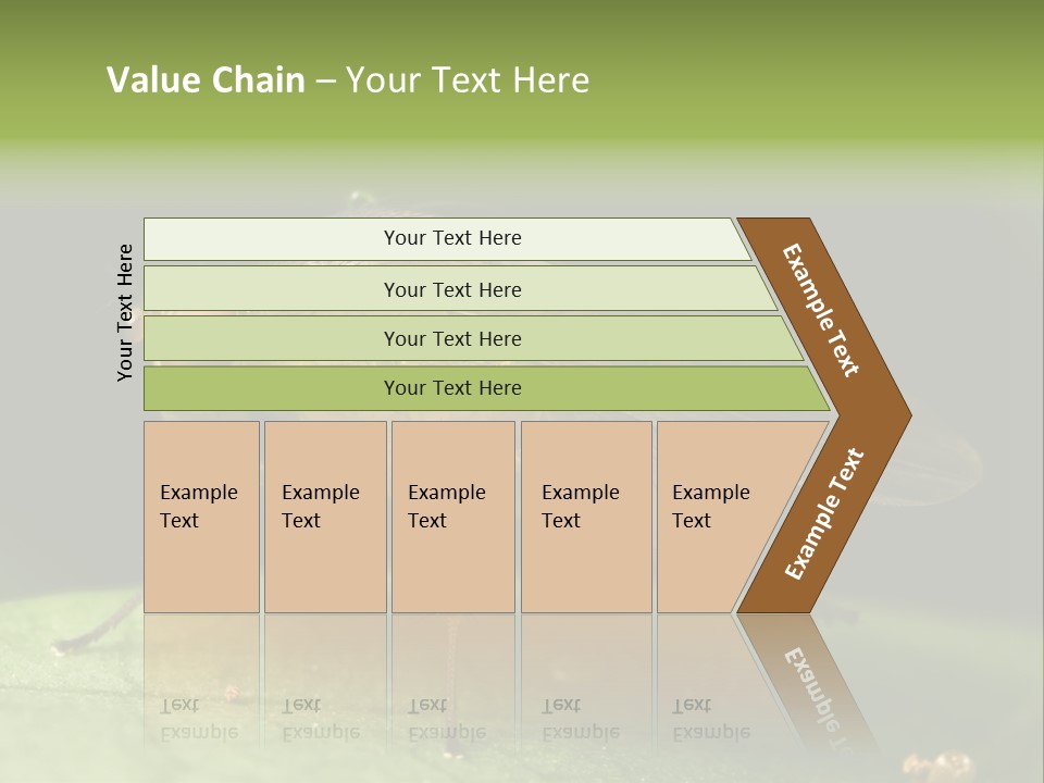 Fruit Fly Moving It Leg PowerPoint Template