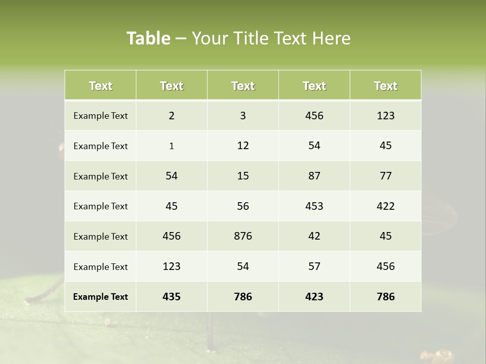 Fruit Fly Moving It Leg PowerPoint Template