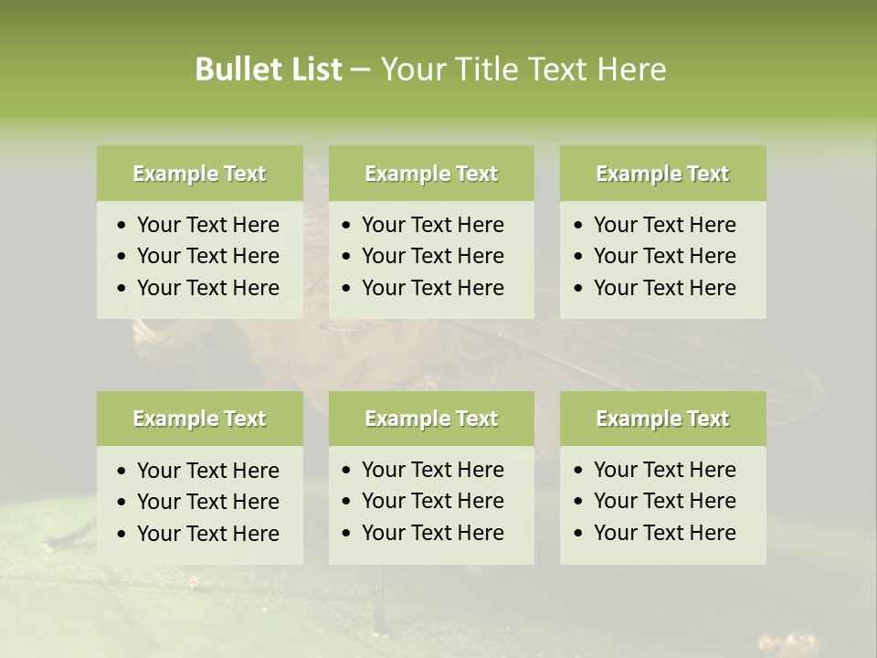 Fruit Fly Moving It Leg PowerPoint Template