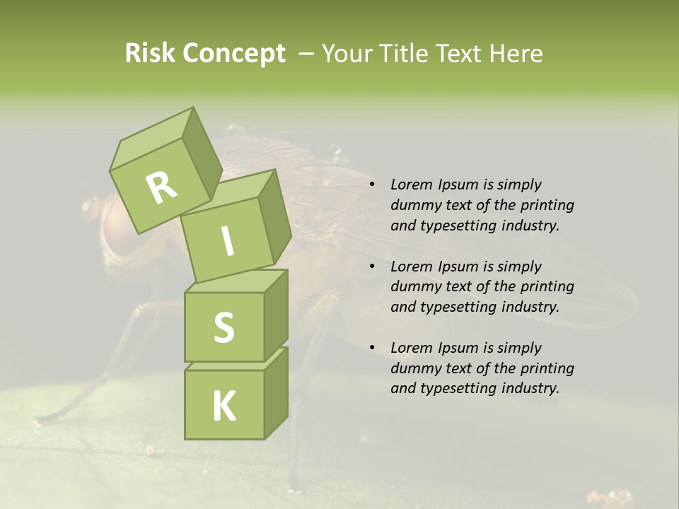Fruit Fly Moving It Leg PowerPoint Template