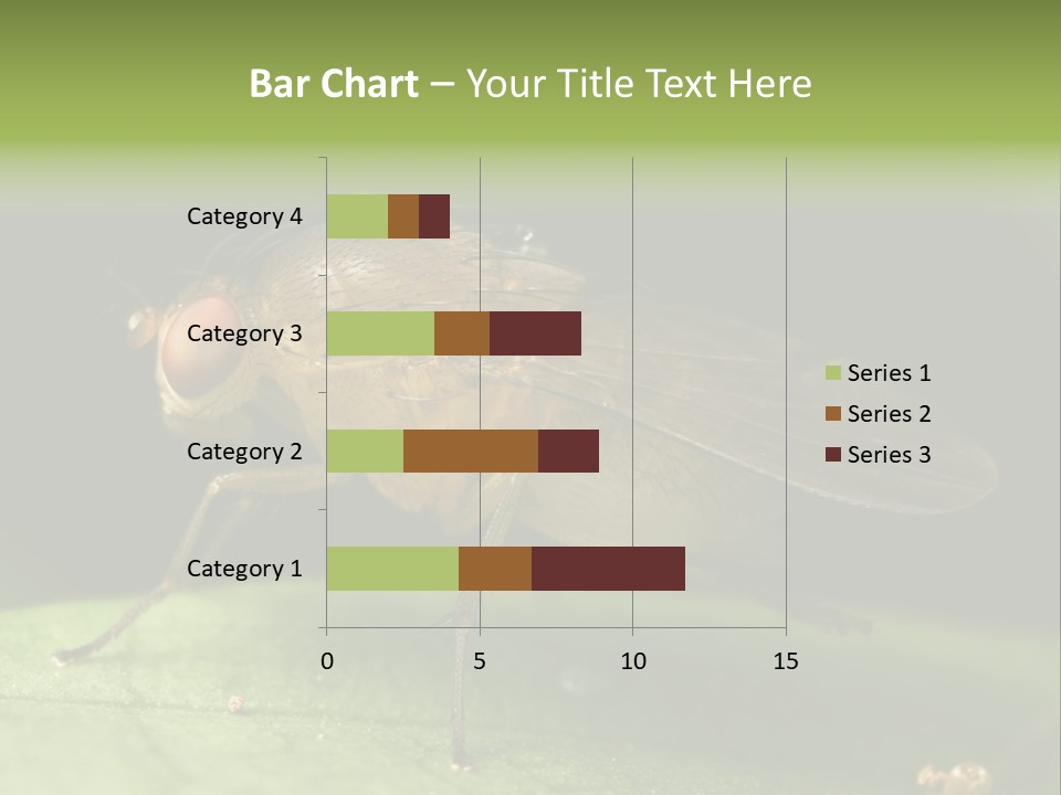 Fruit Fly Moving It Leg PowerPoint Template
