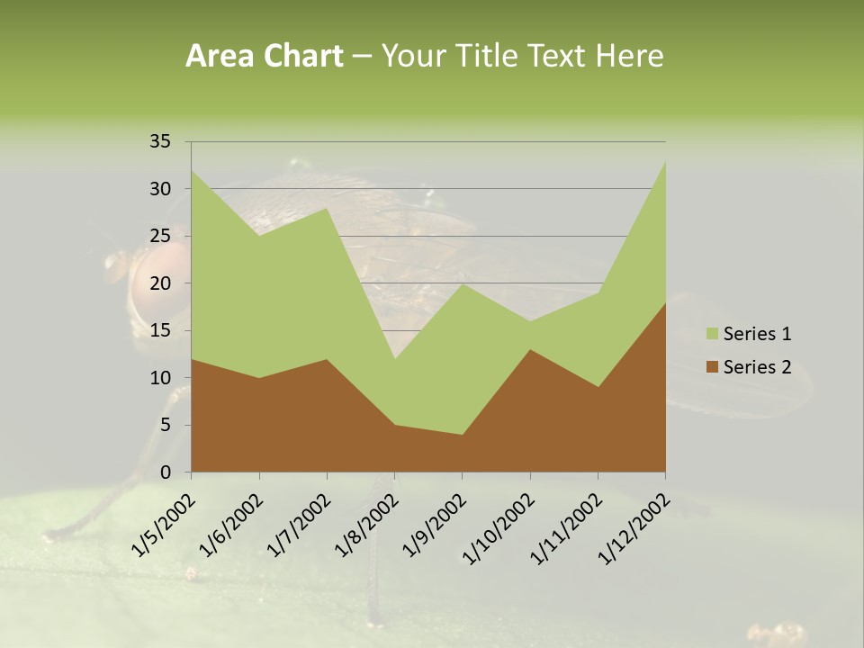 Fruit Fly Moving It Leg PowerPoint Template