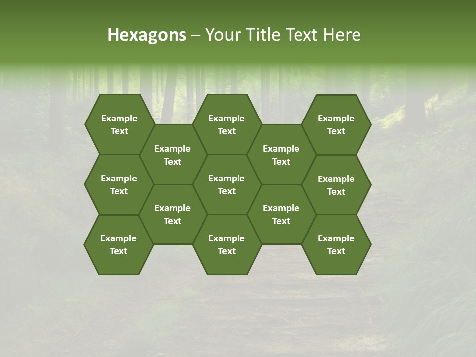 Forest PowerPoint Template