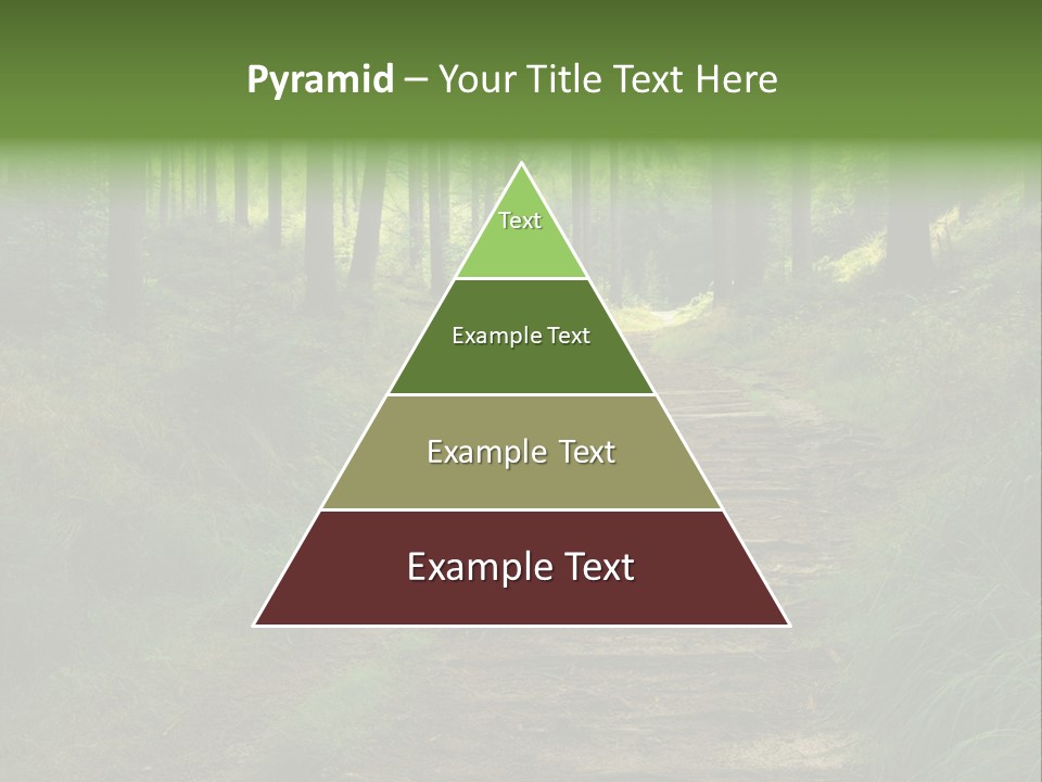 Forest PowerPoint Template