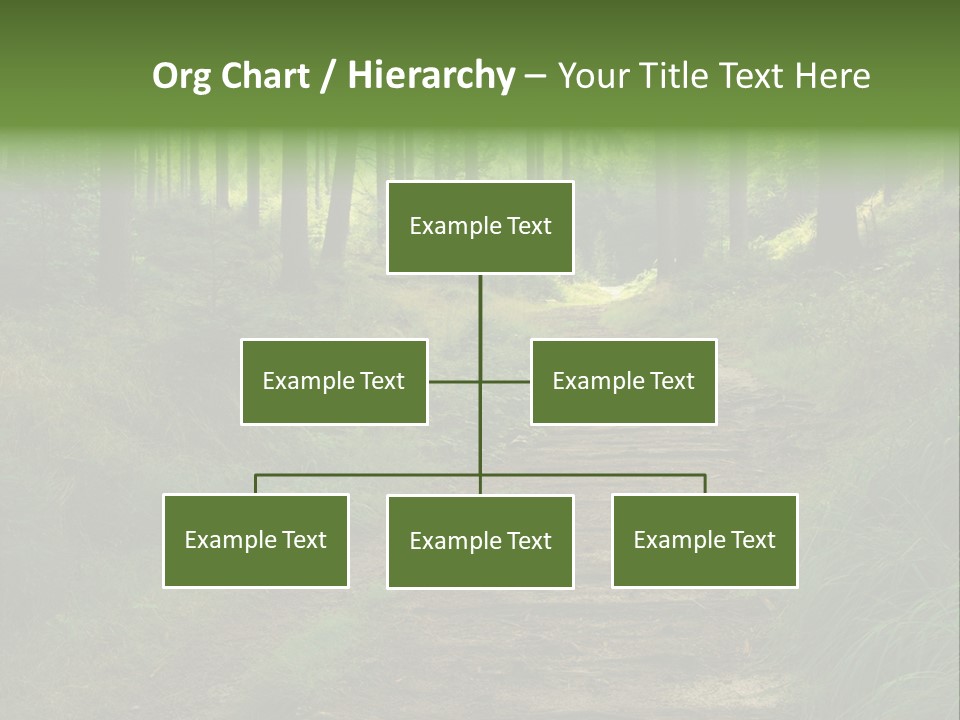 Forest PowerPoint Template