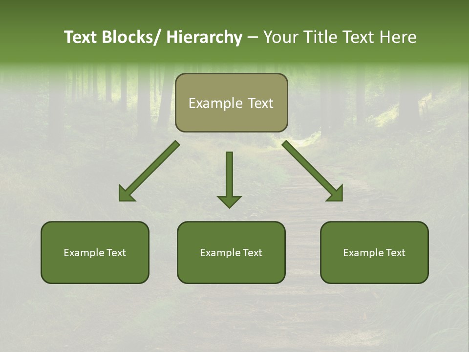 Forest PowerPoint Template