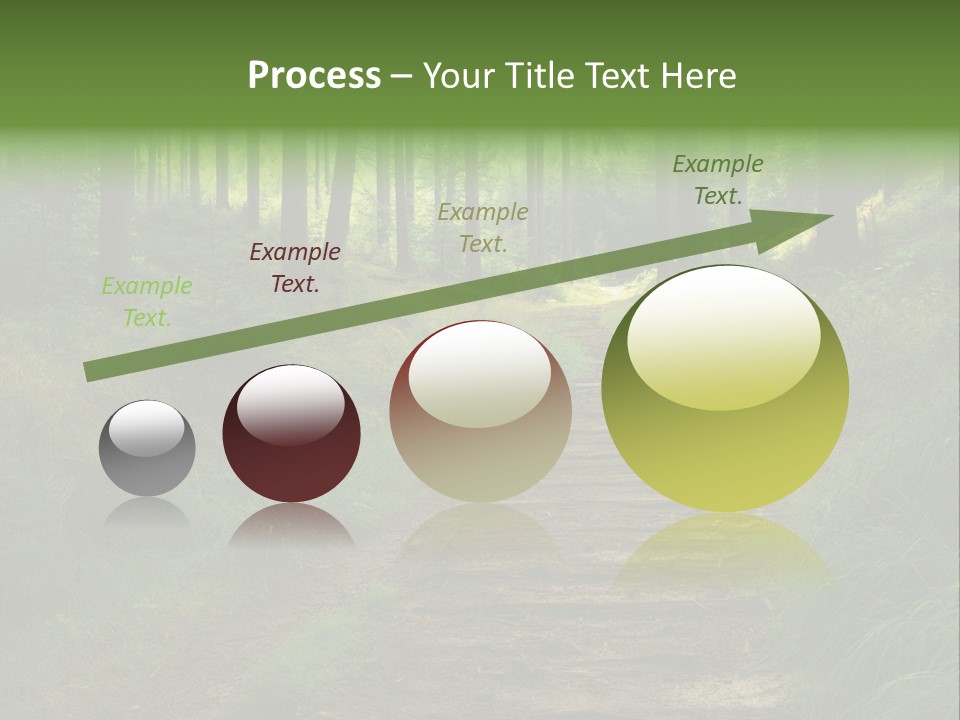 Forest PowerPoint Template