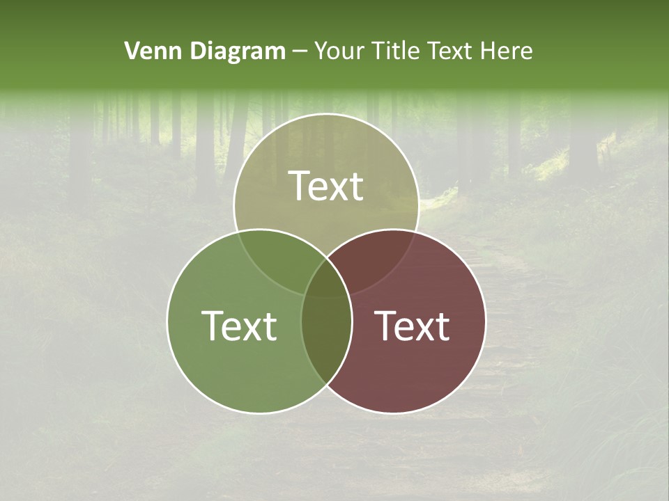Forest PowerPoint Template