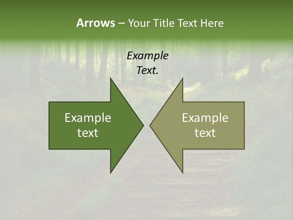 Forest PowerPoint Template