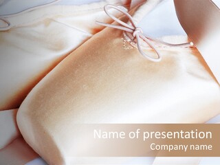Pointe Shoes PowerPoint Template