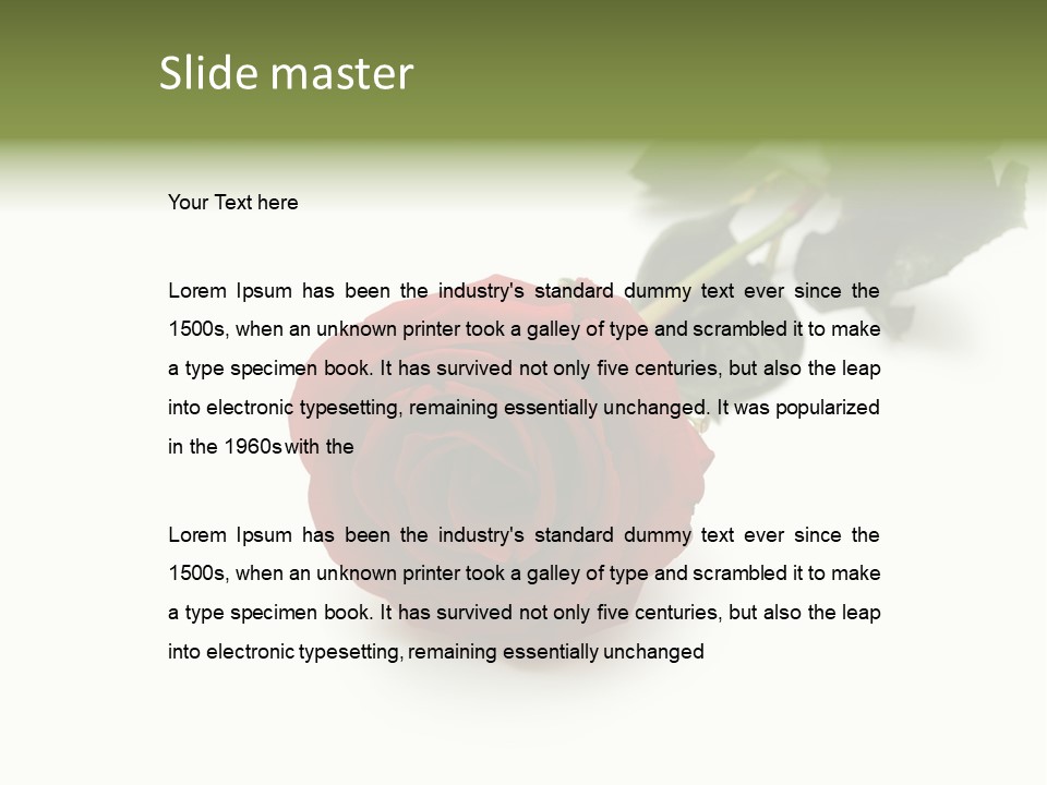 A Single Red Rose On A White Background PowerPoint Template