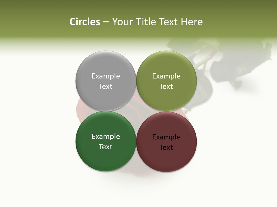 A Single Red Rose On A White Background PowerPoint Template