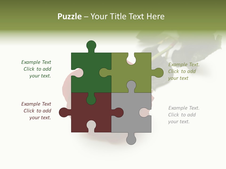 A Single Red Rose On A White Background PowerPoint Template