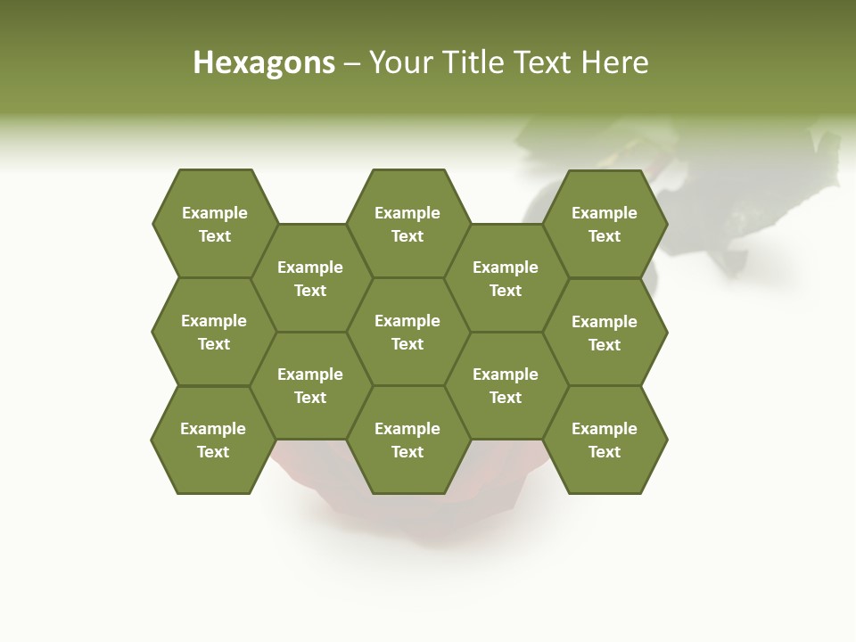 A Single Red Rose On A White Background PowerPoint Template