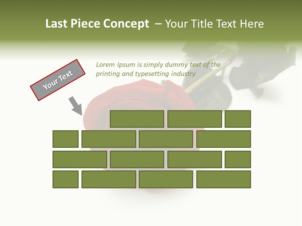 A Single Red Rose On A White Background PowerPoint Template