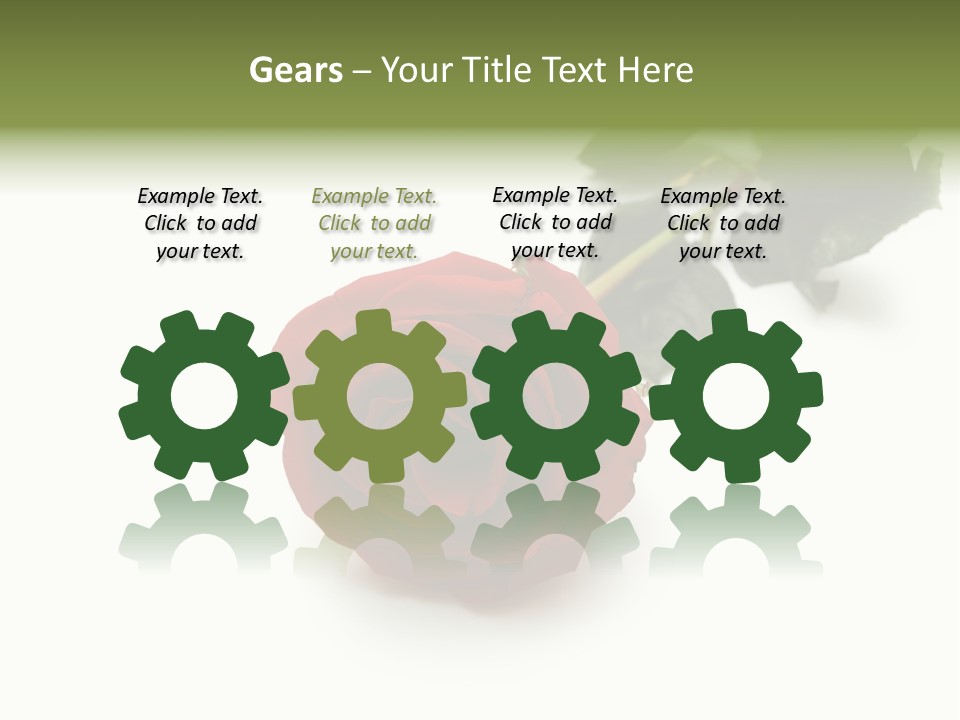 A Single Red Rose On A White Background PowerPoint Template