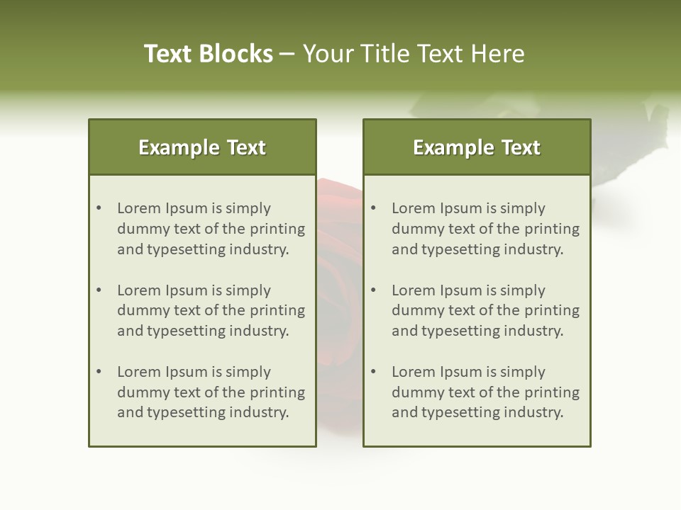 A Single Red Rose On A White Background PowerPoint Template