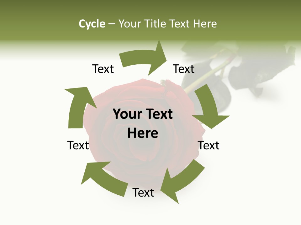 A Single Red Rose On A White Background PowerPoint Template