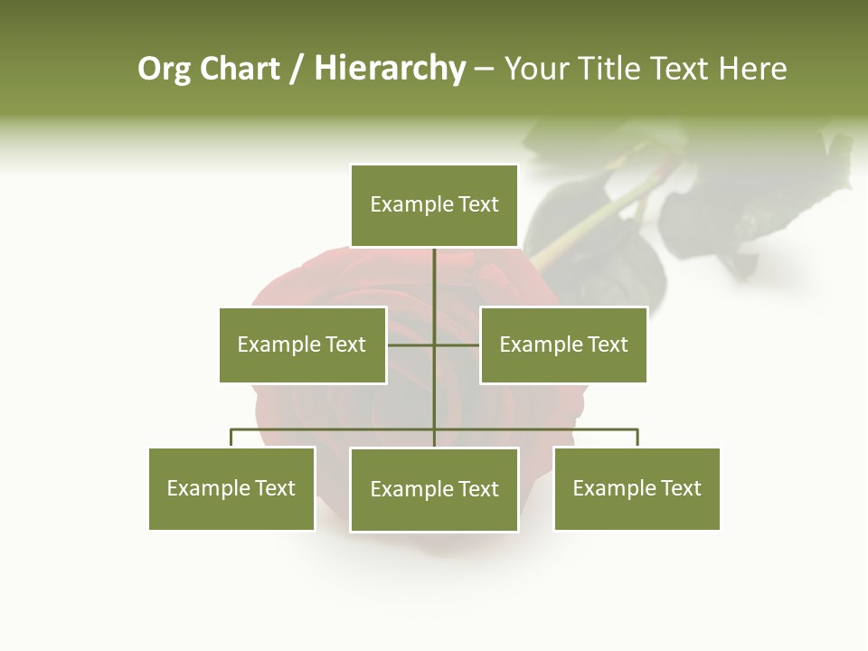 A Single Red Rose On A White Background PowerPoint Template
