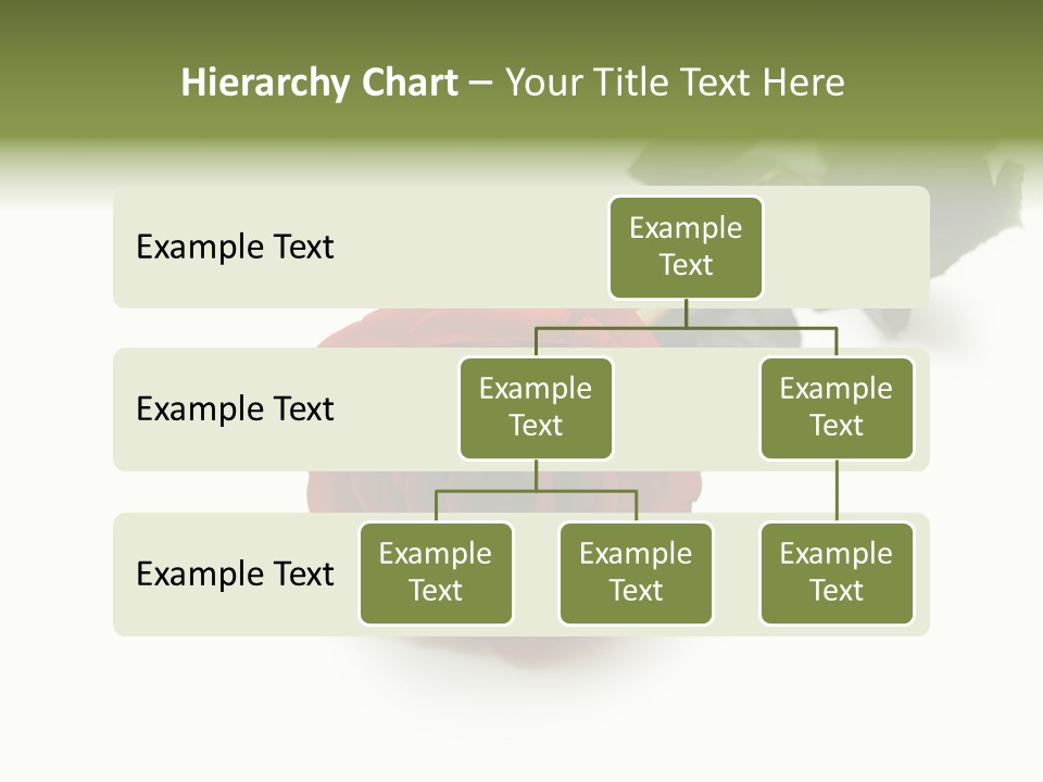 A Single Red Rose On A White Background PowerPoint Template