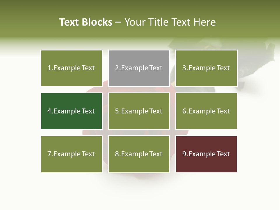 A Single Red Rose On A White Background PowerPoint Template